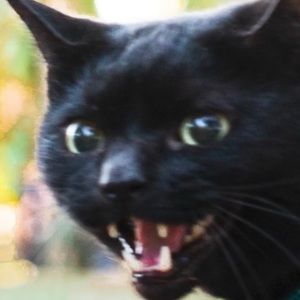 Meet your Posher, Christian